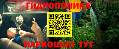 бошки Новозыбков