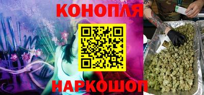 бошки Новозыбков