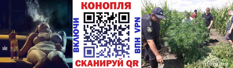 Бошки Шишки план  Усть-Илимск 
